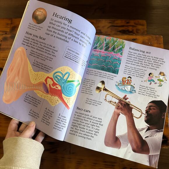 Scholastic Usborne First Encyclopedia Of The Human Body Paperback Book - Picture 4 of 11